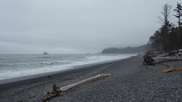 Strand in Olympic Park, Washington State