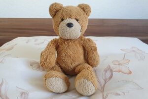 Teddy auf Kopfkissen
